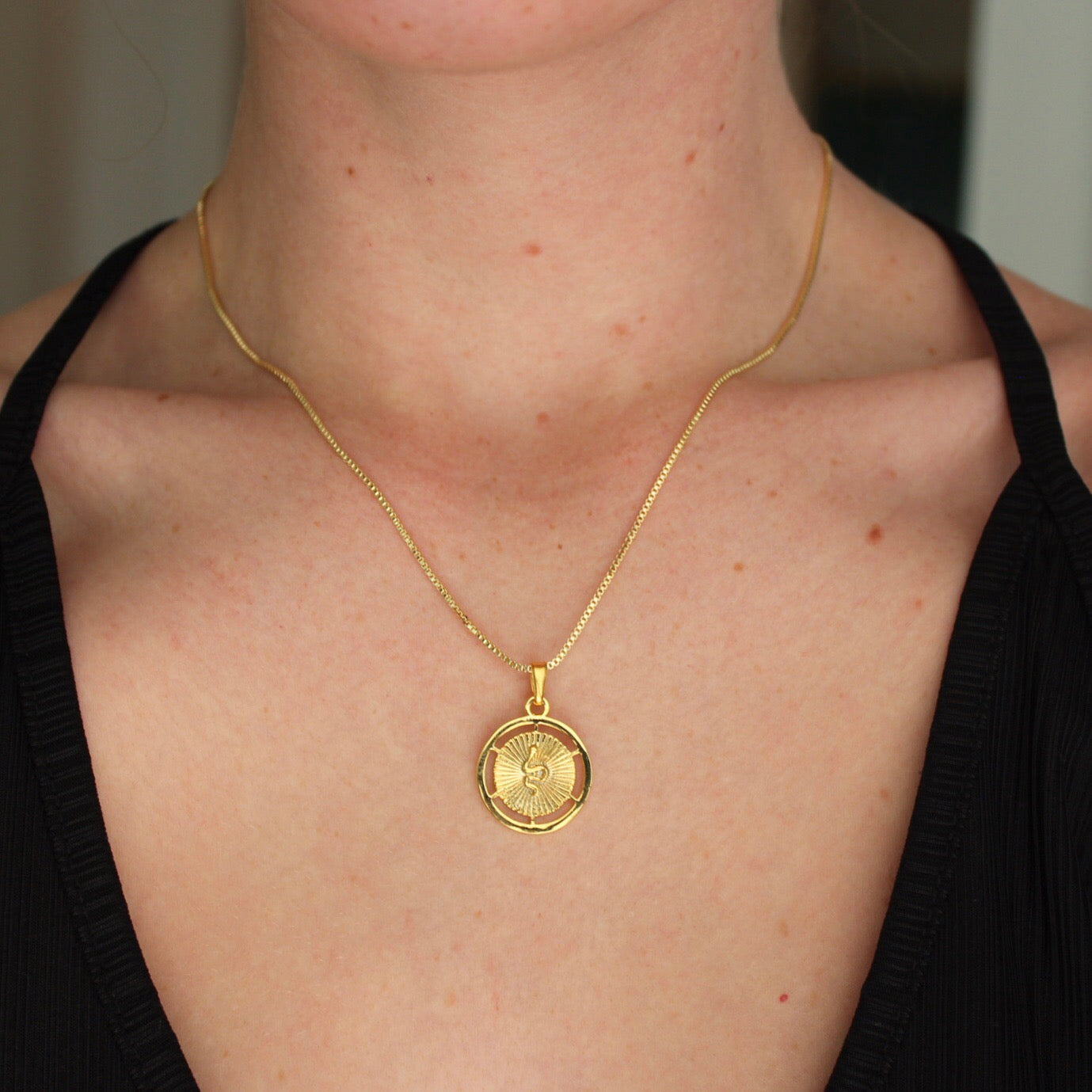 Snake coin pendant on a gold plated box chain.